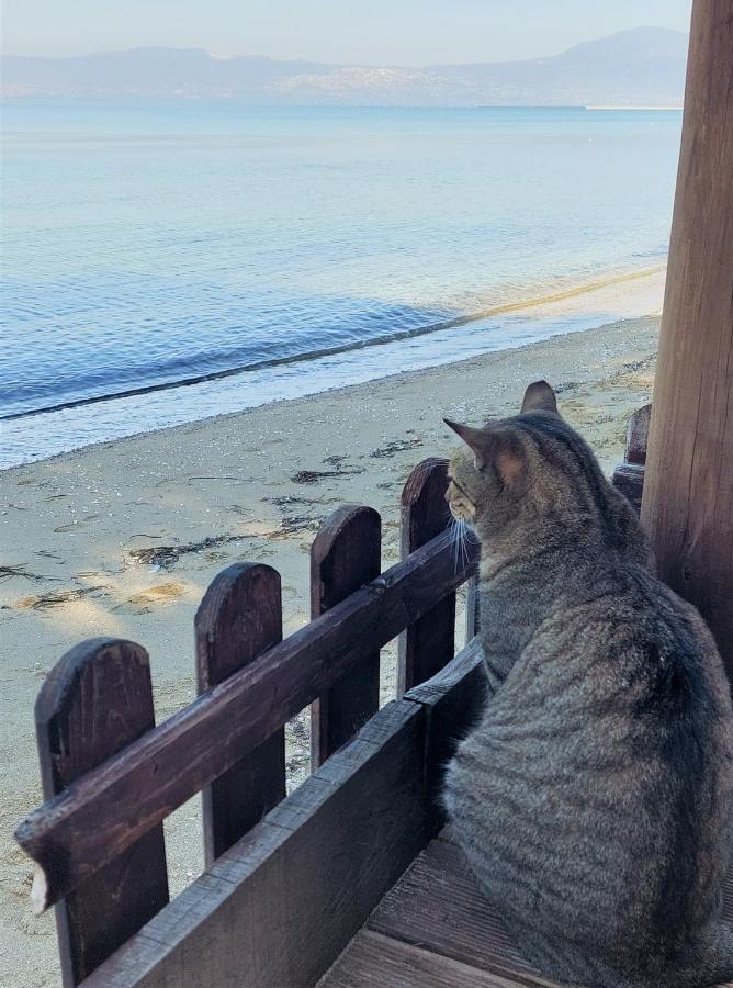 Niko'S Apartment - Beautiful Sea View Apartment ! Peraía المظهر الخارجي الصورة