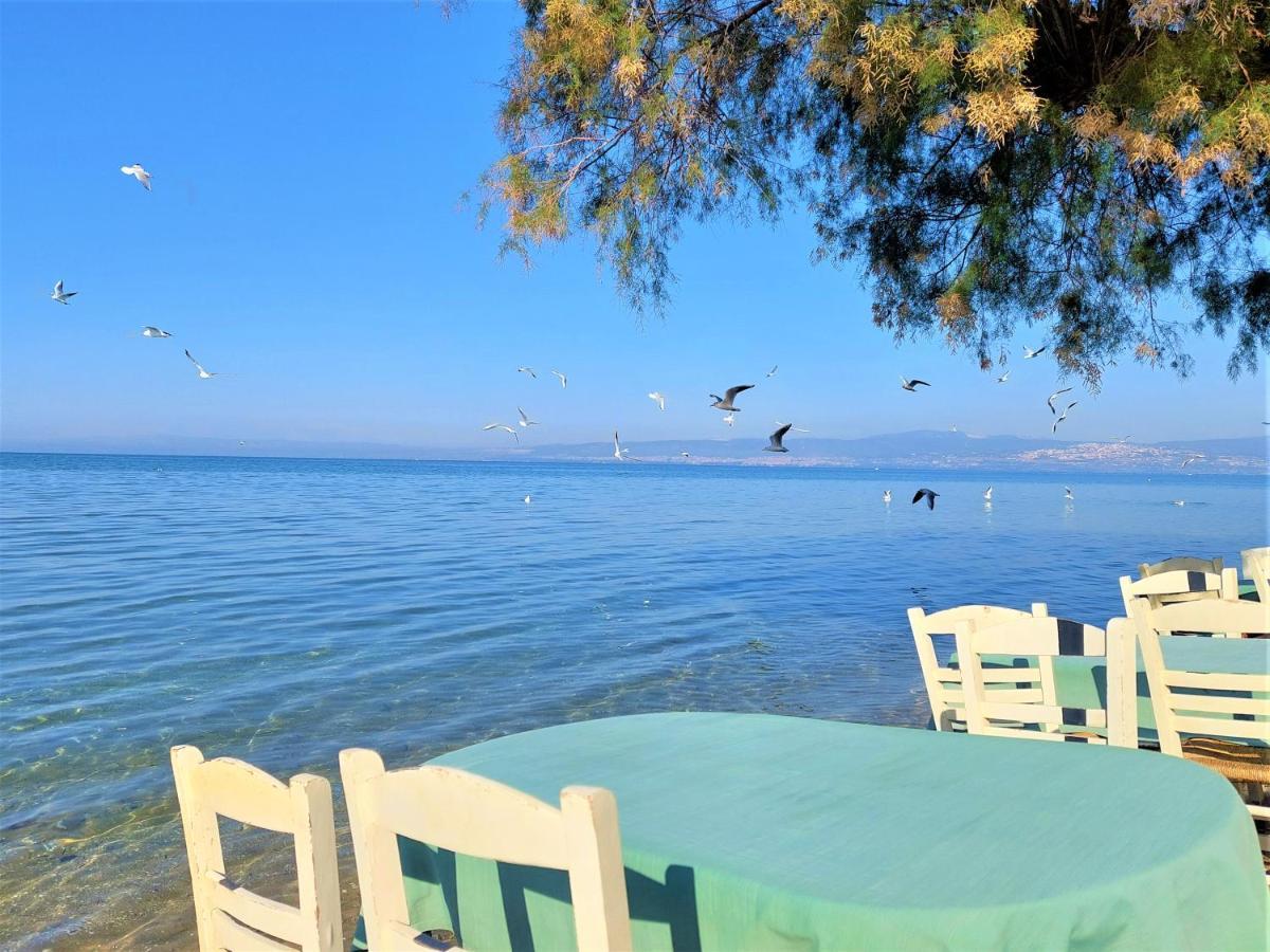 Niko'S Apartment - Beautiful Sea View Apartment ! Peraía المظهر الخارجي الصورة